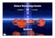 FTC - Presentation on  .Sensors ... Gas sensor array metal oxide type, NRL 1 10 100 2-propanol benzene toluene 2-nitro-toluene detection limit [ppb] ... •Hydratation