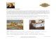 Jennifer McKnight - bio page - Normandy Remodeling ... Garden, House Beautiful, Kitchen Trends, Kitchen