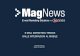 MagNews - Email Marketing Trends - Web Marketing Evo 2011