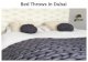 Bed Throws in Dubai